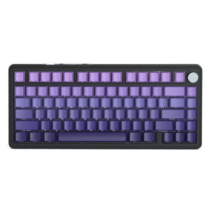 Gradient Purple