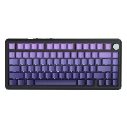 Gradient Purple