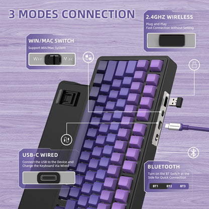 Gradient Purple