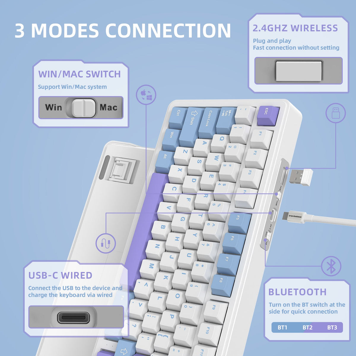 White Purple